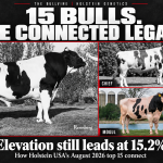 Elevation, Chief and Mogul in a Bullvine cover graphic on the most influential Holstein sires, Elevation at 15.2%