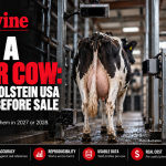 Build a Better Cow