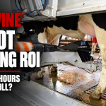 robotic milking ROI