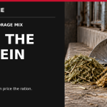 corn silage alfalfa ratio