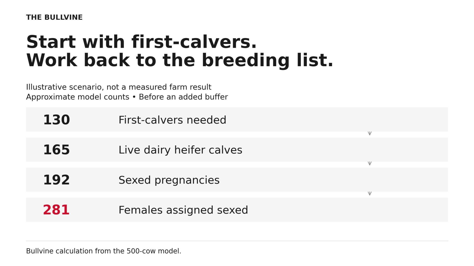 Backward calculation: 130 first-calvers, about 165 live heifer calves, 192 sexed pregnancies and 281 listed females.