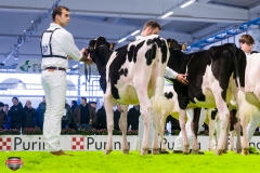 DSC02630-3 DSC02630-3