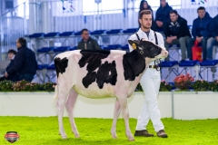 DSC02642-2 DSC02642-2