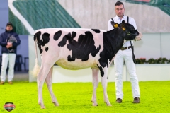 DSC02645-2 DSC02645-2