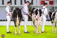 DSC02677-2 DSC02677-2