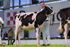 DSC02684-2 DSC02684-2