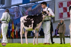 DSC02685-2 DSC02685-2