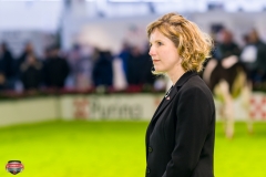 DSC02717-2 DSC02717-2