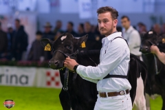 DSC02718-2 DSC02718-2