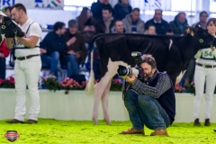 DSC02722-2 DSC02722-2