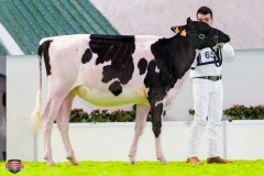 DSC02732-2 DSC02732-2