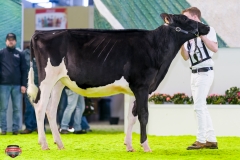 DSC02735-2 DSC02735-2