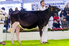 DSC02738-2 DSC02738-2