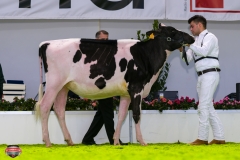 DSC02740-2 DSC02740-2