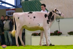 DSC02742-2 DSC02742-2