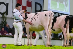 DSC02744-2 DSC02744-2