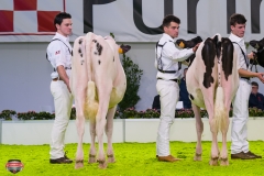 DSC02746-2 DSC02746-2