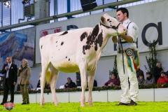 DSC02752-2 DSC02752-2