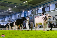 DSC02756-2 DSC02756-2