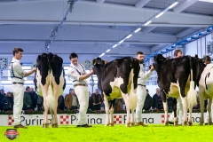 DSC02763-2 DSC02763-2