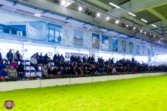 DSC02766-2 DSC02766-2