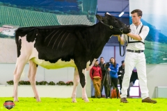 DSC02770-2 DSC02770-2