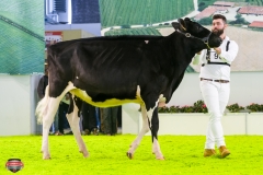 DSC02771-2 DSC02771-2