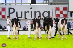 DSC02776-2 DSC02776-2