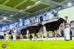 DSC02780-2 DSC02780-2