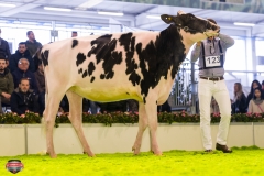 DSC02796-2 DSC02796-2