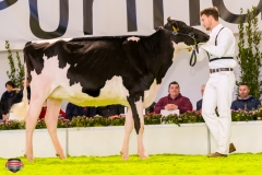 DSC02800-2 DSC02800-2