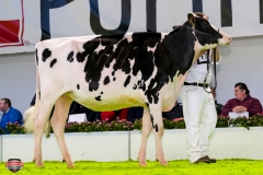 DSC02803-2 DSC02803-2