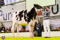 DSC02817-2 DSC02817-2