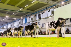 DSC02819-2 DSC02819-2