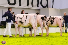 DSC02842-2 DSC02842-2