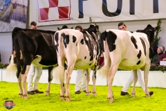 DSC02845-2 DSC02845-2