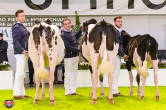 DSC02846-2 DSC02846-2