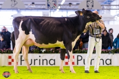 DSC02853-2 DSC02853-2