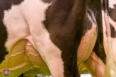 DSC02873-3 DSC02873-3