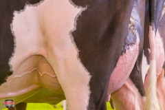 DSC02879-2 DSC02879-2