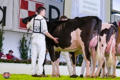 DSC02881-2 DSC02881-2