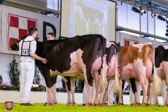 DSC02887-2 DSC02887-2