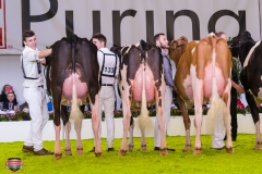 DSC02890-3 DSC02890-3