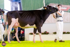 DSC02896-3 DSC02896-3