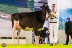 DSC02899-2 DSC02899-2