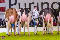 DSC02904-2 DSC02904-2