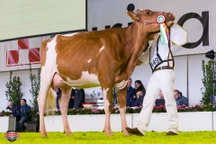 DSC02908-2 DSC02908-2