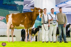 DSC02922-2 DSC02922-2