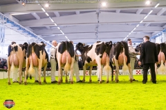 DSC02933-2 DSC02933-2