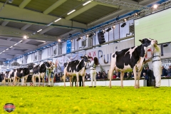 DSC02942-2 DSC02942-2